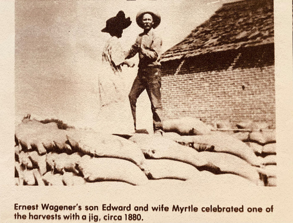 An old portait of Edward and Myrtle in 1880, celebrating their harvest by holding hands, standing on sacks of produce. 