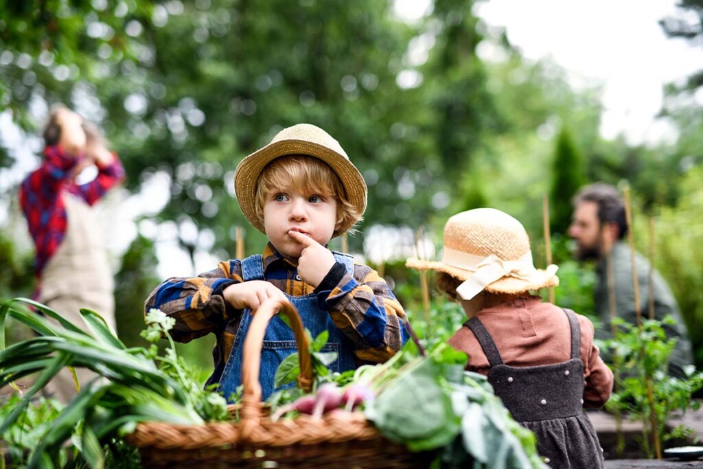 A young boy in a straw hat looking to the left of the camera, baskets of produce in the foreground in front of him. 