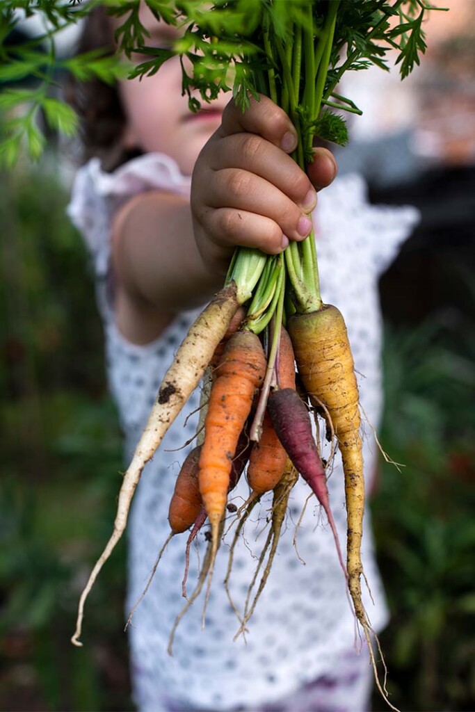 A young girl blurred in the background, holding out a bundle of wild carrots focused in the foreground. 